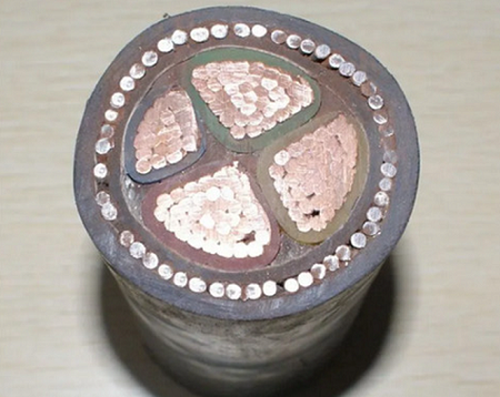 100603126463.png 圖四.png